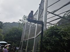 -黔灵山公园