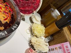 -朱氏胖子烂火锅(洪崖洞店)