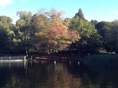 -野象谷景区