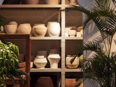 -自由生长植物工作室(深港花卉中心店)
