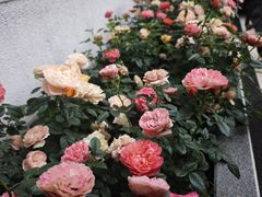 -湖北省美术院美术馆