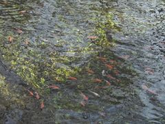 -水磨沟公园