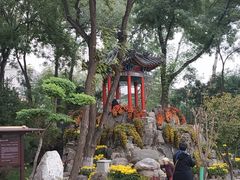 -莲湖公园