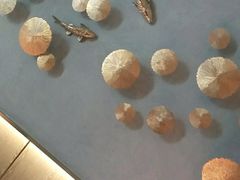 -额尔敦牛厨师铜板烧