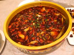 -陈麻婆豆腐总店