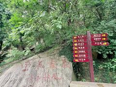 -连云港云龙涧原生态风景区