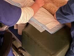 -爱派特动物医院·全科诊疗中心