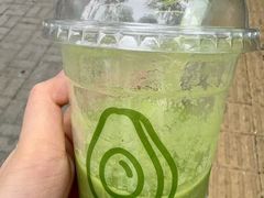-油梨树AVOCADO TREE(顺义新国展店)
