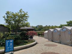 -嘉定紫藤园