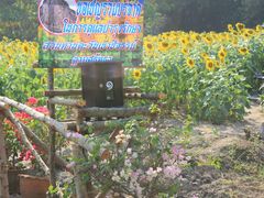 android_upload_pic-七珍佛山