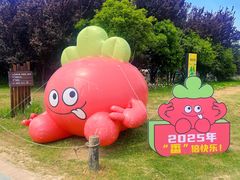-阳澄湖半岛旅游度假区