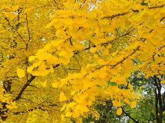 -辽宁大学(崇山校区)