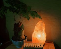点击看大图 -栖木行空·女子定制美肤·芳香疗愈SPA