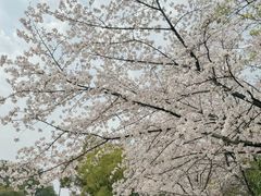 -杭州少年儿童公园