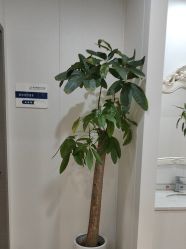 -郑荃丽格医疗美容