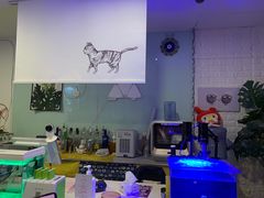 -平行世界·猫咖(首经贸店)