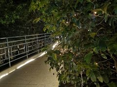 -宝莱纳啤酒花园餐厅PAULANER BRAUHAUS Nanjing(广州路店)