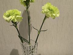 -禾田餐厅•乡野湖北菜(徐东店)