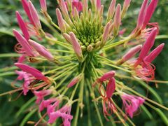 -江苏三台山国家森林公园