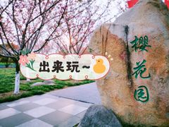 -高东镇樱花园