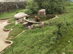 -无锡动物园·太湖欢乐园