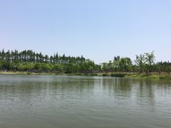 -上海长兴岛郊野公园