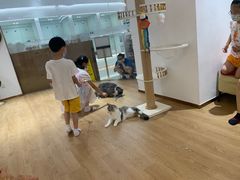 -1013 PET SHOP精品宠物商店(丁香店)