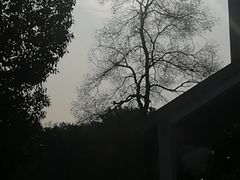 -苏州市姑苏区少年宫(沧浪分部)
