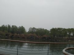 -西安浐灞国家湿地公园
