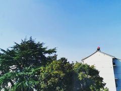 -福田家月子中心 产后 月嫂(市立母子医院店)
