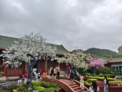 -珠海圆明新园