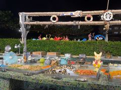 -渔家火锅·海鲜自助餐·演艺(亚龙湾天域酒店)