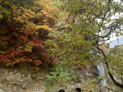 -龙道沟景区