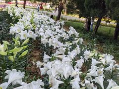 -石家庄市植物园
