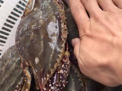 -岚桥锦江大酒店-瑞泰西餐厅