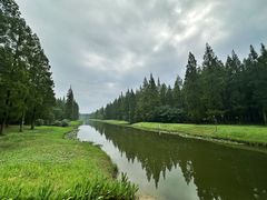 -黄海国家森林公园