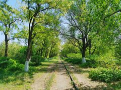 -永定河休闲森林公园