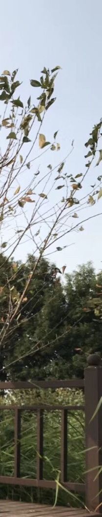 -帐篷客·溪龙茶谷度假酒店