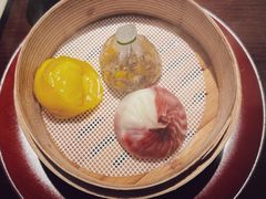 -随堂里