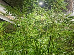 -陈熹公民族美食文化餐厅(中华广场店)