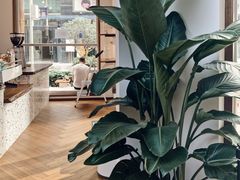 -Line 咖啡(石厦花园店)