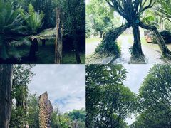 -云南勐巴娜西珍奇园