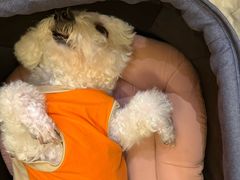 -凤凰山斑鱼馆(恭城店)