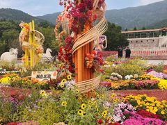 -北京十三陵国家森林公园蟒山景区