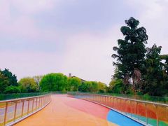 -府河摄影公园