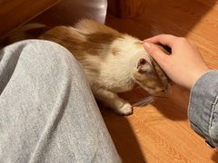 -恩你小木屋·烤肉韩式料理(嘉兴秀洲店)