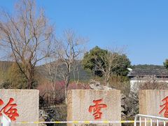 -香雪海
