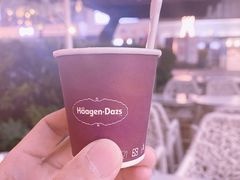 -哈根达斯(武汉天地店)