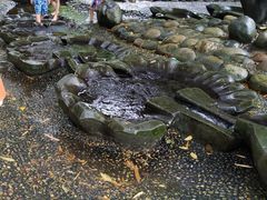 -成都市活水公园