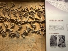 -齐文化博物馆
